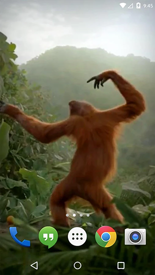 Screenshots do Macaco que dança para tablet e celular Android.