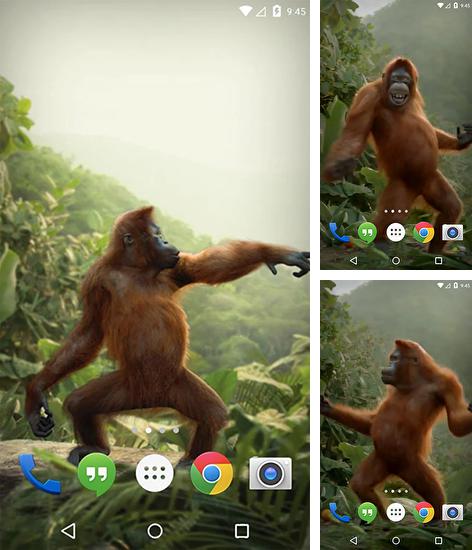 Дополнительно к живым обоям на Андроид телефоны и планшеты Сакура, вы можете также бесплатно скачать заставку Dancing monkey.