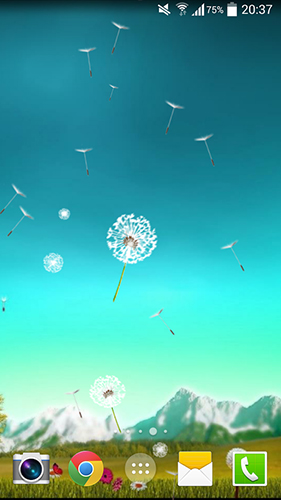 Download livewallpaper Dandelion by Crown Apps for Android. Get full version of Android apk livewallpaper Dandelion by Crown Apps for tablet and phone.