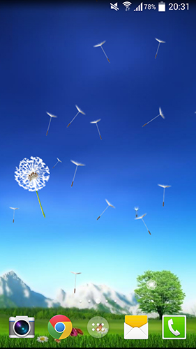 Dandelion by Crown Apps für Android spielen. Live Wallpaper Pusteblume kostenloser Download.