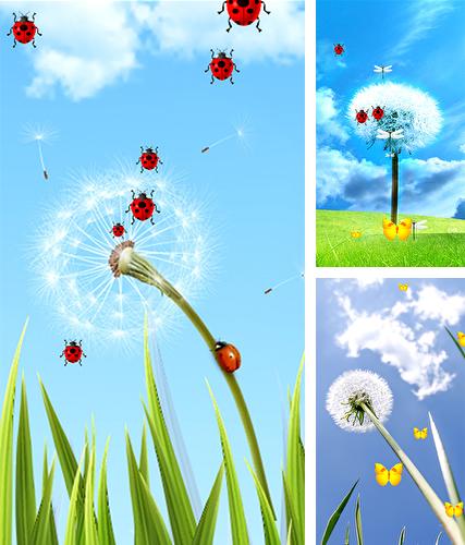 Dandelion by Latest Live Wallpapers - бесплатно скачать живые обои на Андроид телефон или планшет.