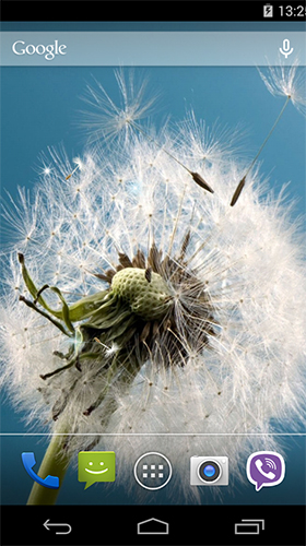 Download Dandelion by Wallpapers Pro - livewallpaper for Android. Dandelion by Wallpapers Pro apk - free download.