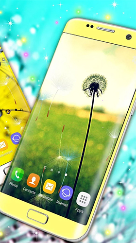 Dandelions - безкоштовно скачати живі шпалери на Андроїд телефон або планшет.