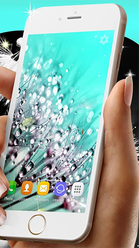 Écrans de Dandelions pour tablette et téléphone Android.