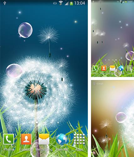 Download live wallpaper Dandelions by Amax LWPS for Android. Get full version of Android apk livewallpaper Dandelions by Amax LWPS for tablet and phone.
