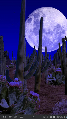 Screenshots of the Desert for Android tablet, phone.