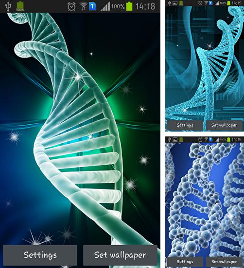 Zusätzlich zum Live Wallpaper Niedliche Cupcakes für Android Mobiltelefone und Tablets, können Sie auch DNA, DNA kostenlos herunterladen.