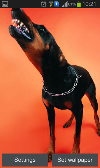 Screenshots do Doberman para tablet e celular Android.