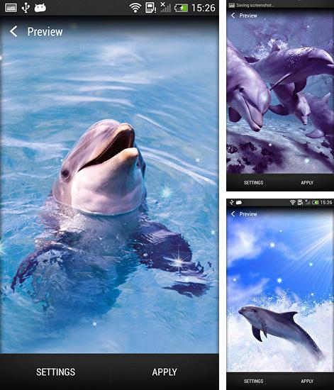 Kostenloses Android-Live Wallpaper Delphin. Vollversion der Android-apk-App Dolphin für Tablets und Telefone.