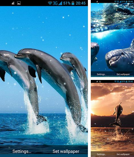 Дополнительно к живым обоям на Андроид телефоны и планшеты Тропический пляж, вы можете также бесплатно скачать заставку Dolphin 3D.