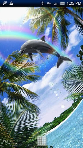 Dolphin blue für Android spielen. Live Wallpaper Der blaue Delfin kostenloser Download.