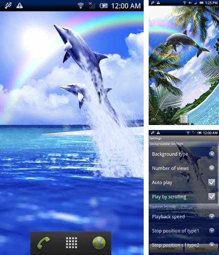 Kostenloses Android-Live Wallpaper Der blaue Delfin. Vollversion der Android-apk-App Dolphin blue für Tablets und Telefone.
