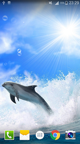 Dolphin by Live wallpaper HD