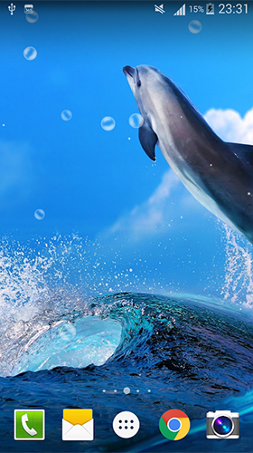Скріншот Dolphin by Live wallpaper HD. Скачати живі шпалери на Андроїд планшети і телефони.