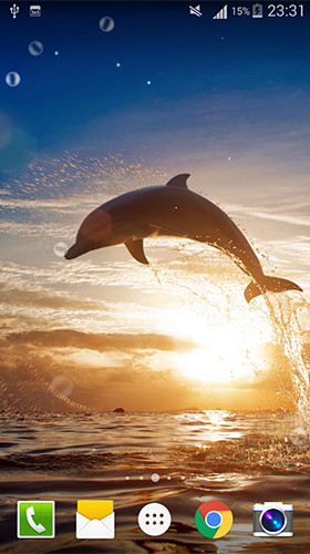 Dolphin by Live wallpaper HD - скриншоты живых обоев для Android.