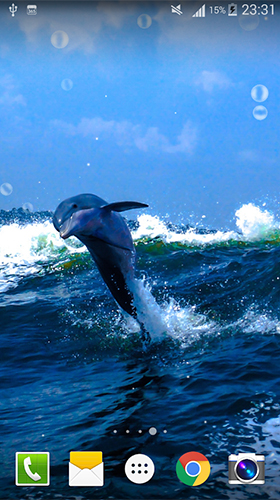 Як виглядають живі шпалери Dolphin by Live wallpaper HD.