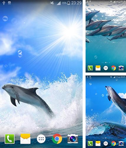Descarga gratuita fondos de pantalla animados Delfín para Android. Consigue la versión completa de la aplicación apk de Dolphin by Live wallpaper HD para tabletas y teléfonos Android.