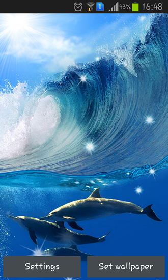 Download livewallpaper Dolphins for Android. Get full version of Android apk livewallpaper Dolphins for tablet and phone.