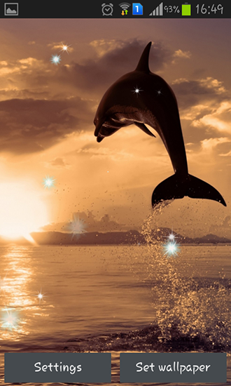 Dolphins - скачати безкоштовно живі шпалери для Андроїд на робочий стіл.