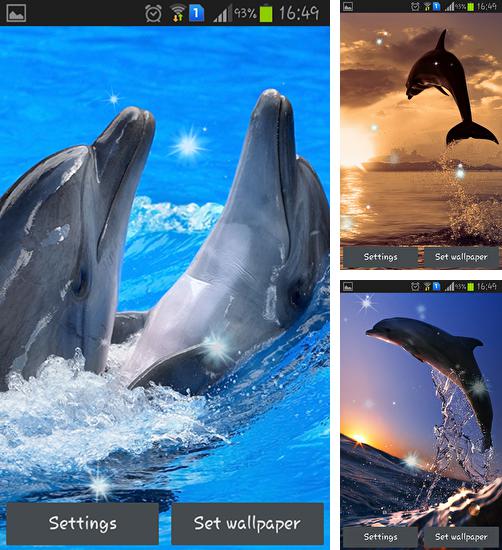 Kostenloses Android-Live Wallpaper Delphine. Vollversion der Android-apk-App Dolphins für Tablets und Telefone.