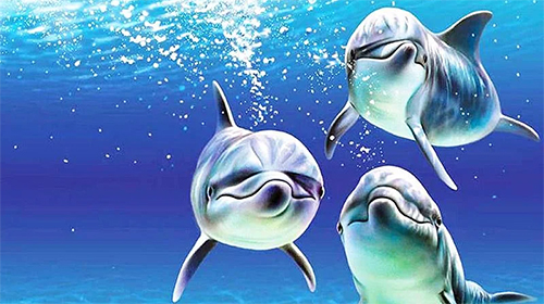 Скриншот Dolphins 3D by Mosoyo. Скачать живые обои на Андроид планшеты и телефоны.