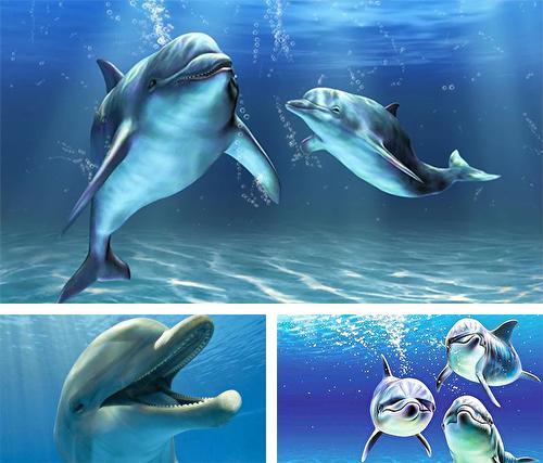 Kostenloses Android-Live Wallpaper Delfine 3D. Vollversion der Android-apk-App Dolphins 3D by Mosoyo für Tablets und Telefone.