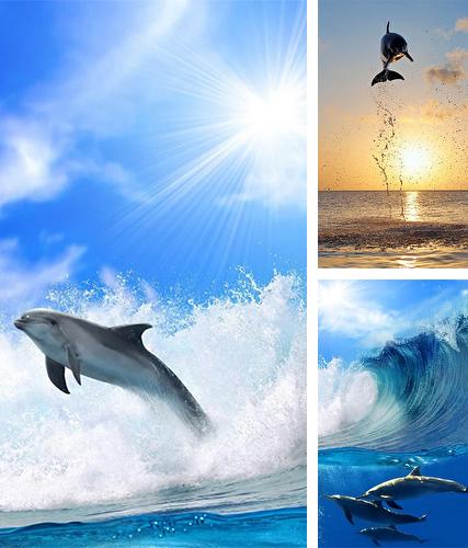 Télécharger le fond d'écran animé gratuit Dauphins  . Obtenir la version complète app apk Android Dolphins by Pro Live Wallpapers pour tablette et téléphone.