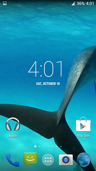 Screenshots of the Dolphins HD for Android tablet, phone.