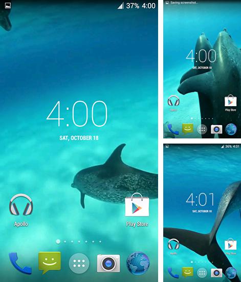 Kostenloses Android-Live Wallpaper Delphine HD. Vollversion der Android-apk-App Dolphins HD für Tablets und Telefone.