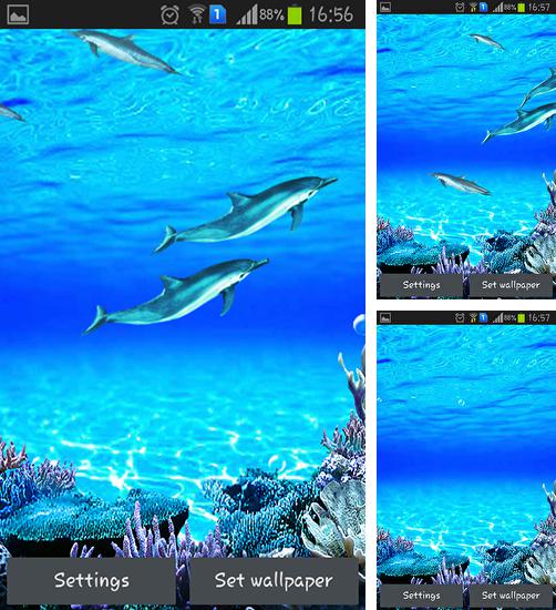Download live wallpaper Dolphins sounds for Android. Get full version of Android apk livewallpaper Dolphins sounds for tablet and phone.