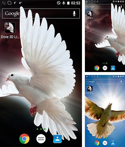 Kostenloses Android-Live Wallpaper Taube 3D. Vollversion der Android-apk-App Dove 3D für Tablets und Telefone.