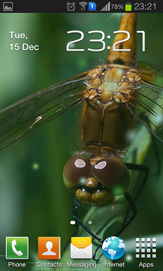 Dragonfly - безкоштовно скачати живі шпалери на Андроїд телефон або планшет.