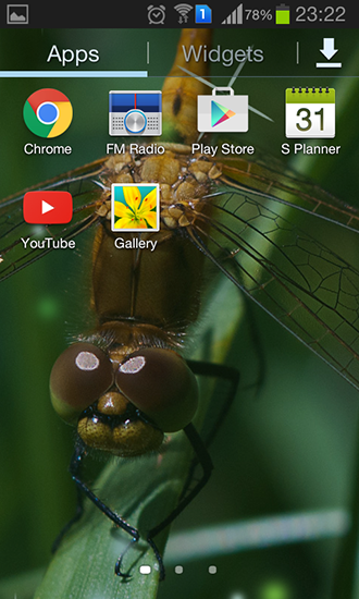 Fondos de pantalla animados a Dragonfly para Android. Descarga gratuita fondos de pantalla animados Libélula.