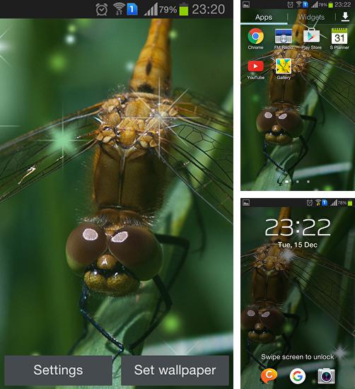 Kostenloses Android-Live Wallpaper Libelle. Vollversion der Android-apk-App Dragonfly für Tablets und Telefone.