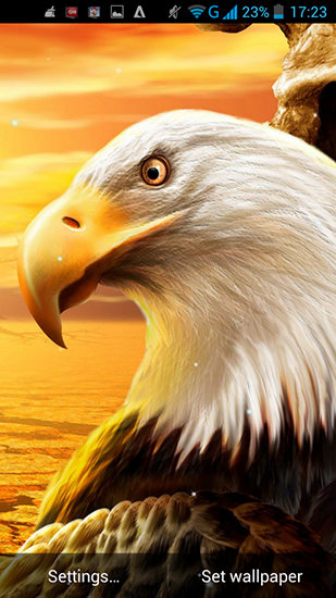 Descarga gratuita fondos de pantalla animados Águila para Android. Consigue la versión completa de la aplicación apk de Eagle para tabletas y teléfonos Android.
