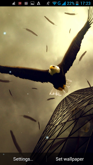 Fondos de pantalla animados a Eagle para Android. Descarga gratuita fondos de pantalla animados Águila.