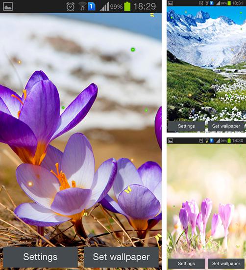 Kostenloses Android-Live Wallpaper Frühling: Natur. Vollversion der Android-apk-App Early spring: Nature für Tablets und Telefone.