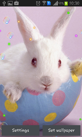 Як виглядають живі шпалери Easter bunnies 2015.