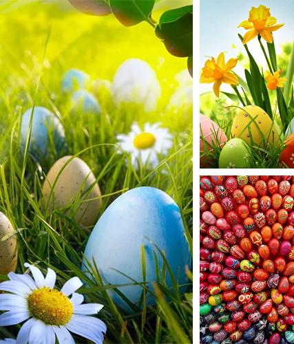 Download live wallpaper Easter by HQ Awesome Live Wallpaper for Android. Get full version of Android apk livewallpaper Easter by HQ Awesome Live Wallpaper for tablet and phone.