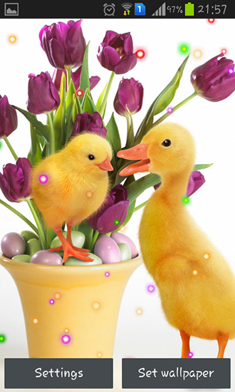 Easter Sunday - безкоштовно скачати живі шпалери на Андроїд телефон або планшет.