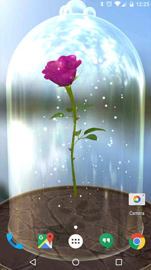 Descarga gratuita fondos de pantalla animados Rosa encantada  para Android. Consigue la versión completa de la aplicación apk de Enchanted Rose para tabletas y teléfonos Android.