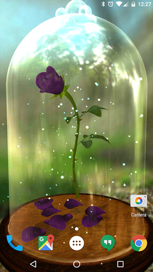 Écrans de Enchanted Rose pour tablette et téléphone Android.