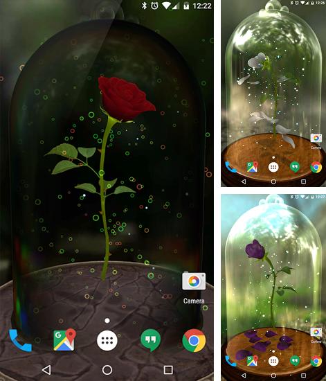 Además de fondo de pantalla animados Casa con fantasmas  para teléfonos y tabletas Android, también puedes descargarte gratis Enchanted Rose.