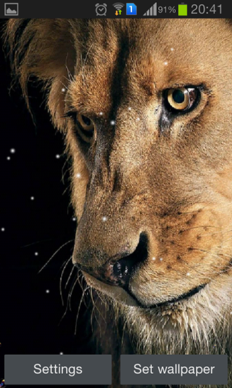 Eyes lion - бесплатно скачать живые обои на Андроид телефон или планшет.