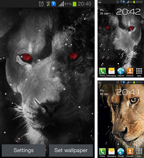 Zusätzlich zum Live Wallpaper Fantasiewelt für Android Mobiltelefone und Tablets, können Sie auch Eyes lion, Löwenaugen kostenlos herunterladen.