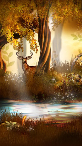 Écrans de Fairy tale by Creative Factory Wallpapers pour tablette et téléphone Android.