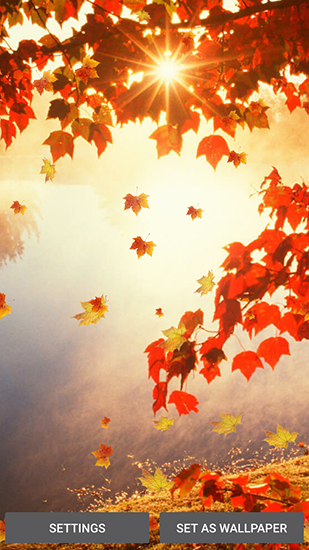 Falling leaves - бесплатно скачать живые обои на Андроид телефон или планшет.