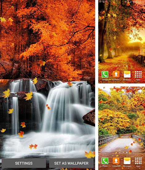 In addition to live wallpaper Rainy day for Android phones and tablets, you can also download Falling leaves for free.