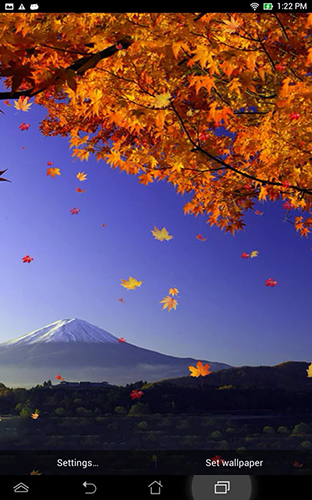 安卓平板、手机Falling leaves by Top Live Wallpapers截图。