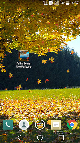 Falling leaves by Wallpapers and Backgrounds Live - бесплатно скачать живые обои на Андроид телефон или планшет.